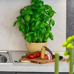 Terra - Comfort One Bedroom With Balcony And View Veliki Apartman