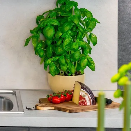 Terra - Comfort One Bedroom With Balcony And View Veliki Apartment